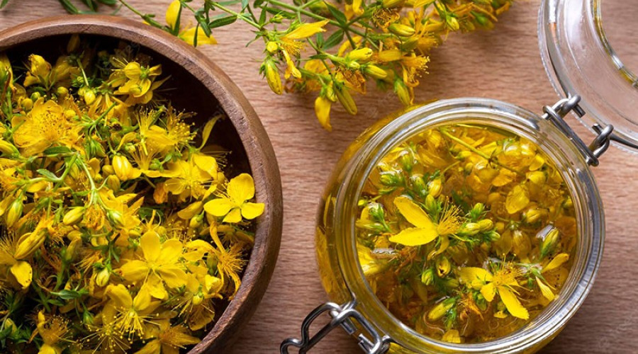 Sarı Kantaron ve Kantaron Yağı